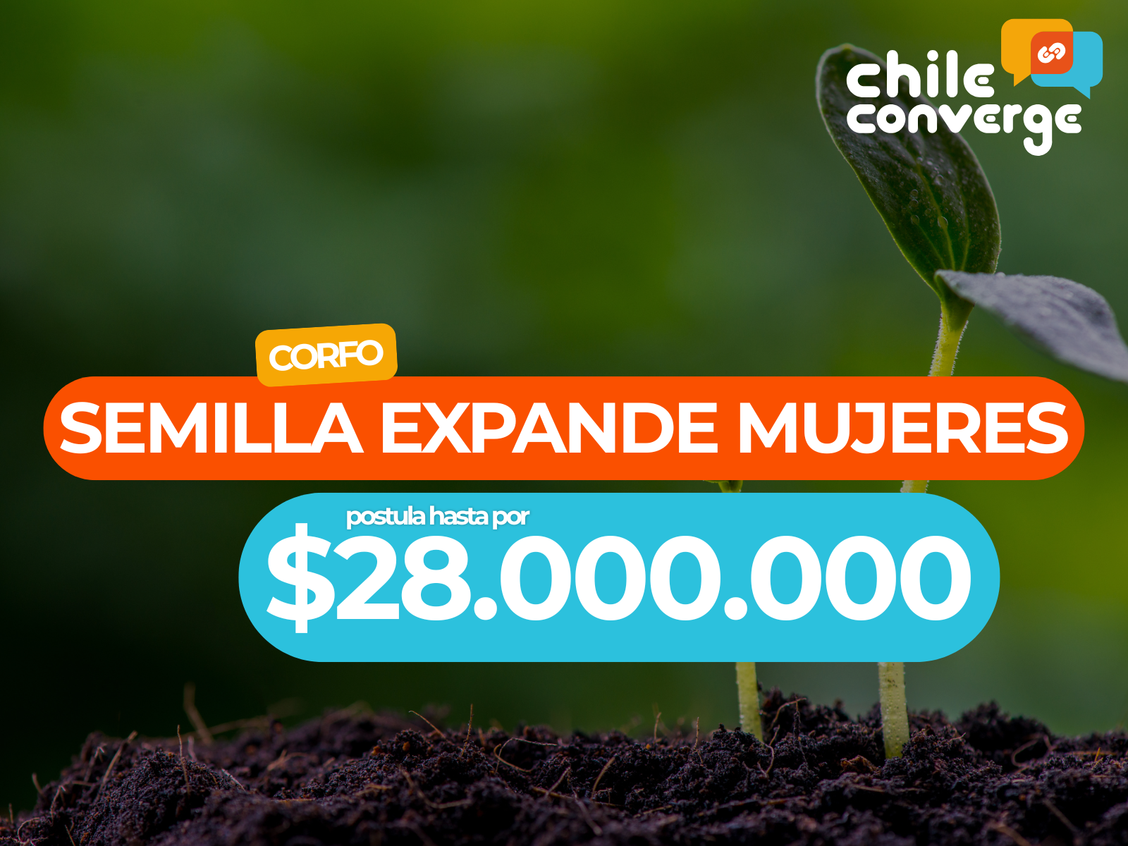 CORFO semilla expande hasta $28 millones para mujeres