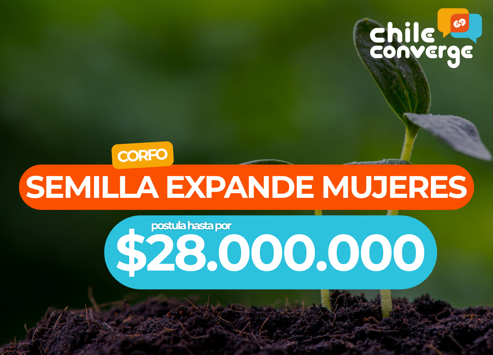 CORFO semilla expande hasta $28 millones para mujeres